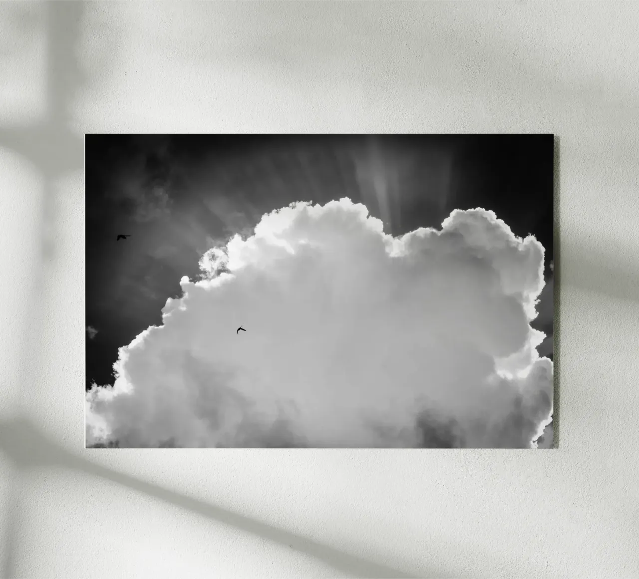 Paradisiaque plexiglas de Tal Paz-Fridman