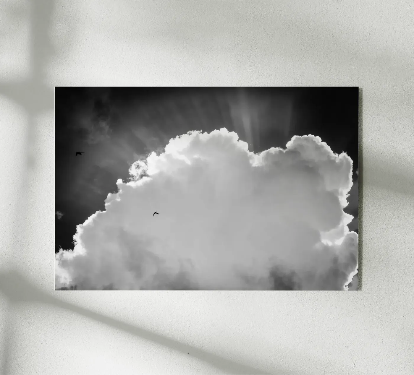 Heavenly Acryl-Glas von Tal Paz-Fridman