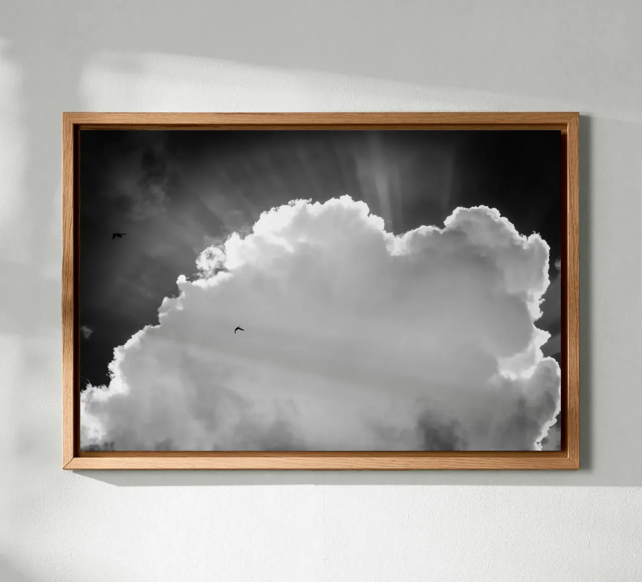 Celeste pannello forex da Tal Paz-Fridman