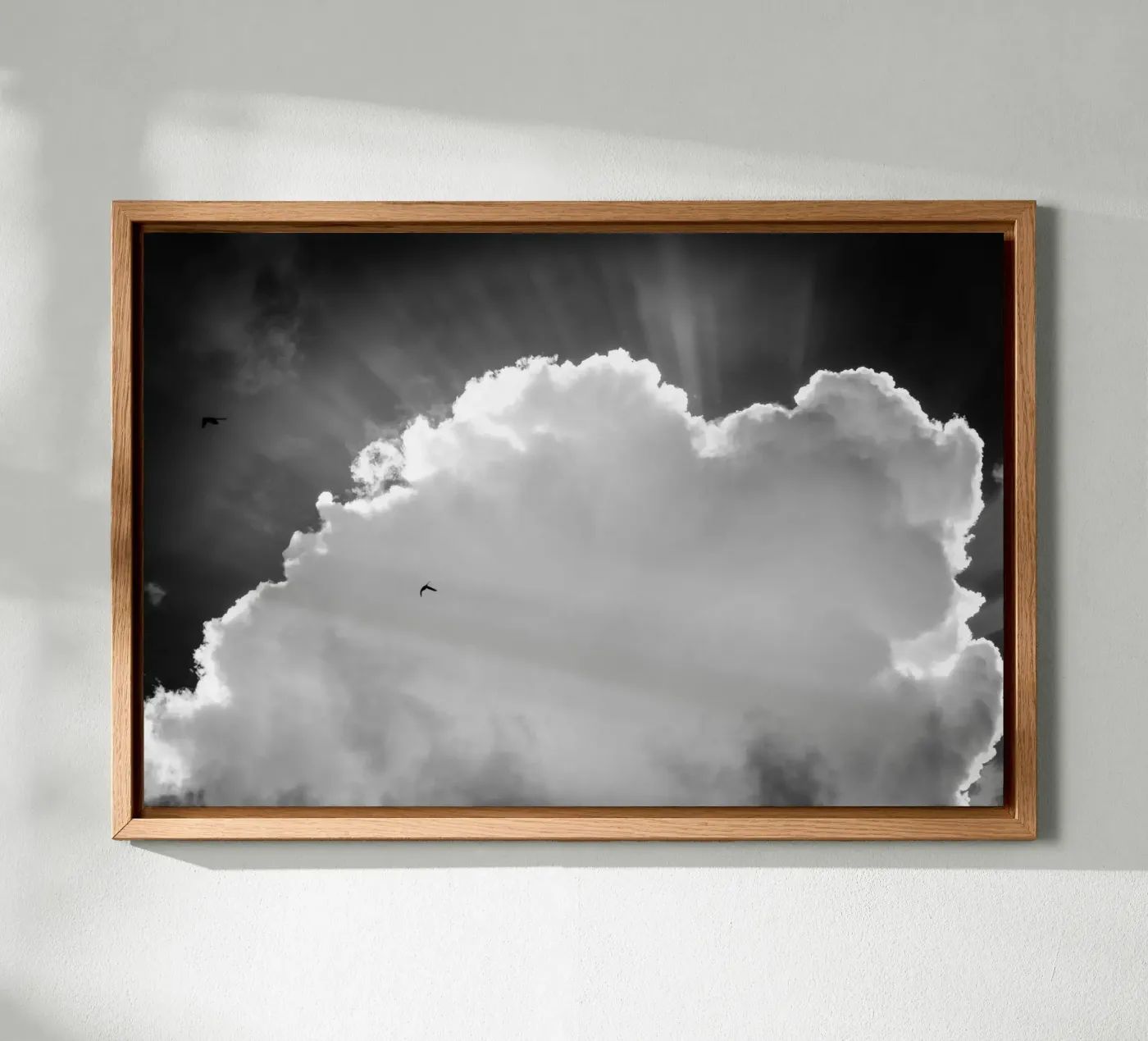 Heavenly alluminio dibond da Tal Paz-Fridman