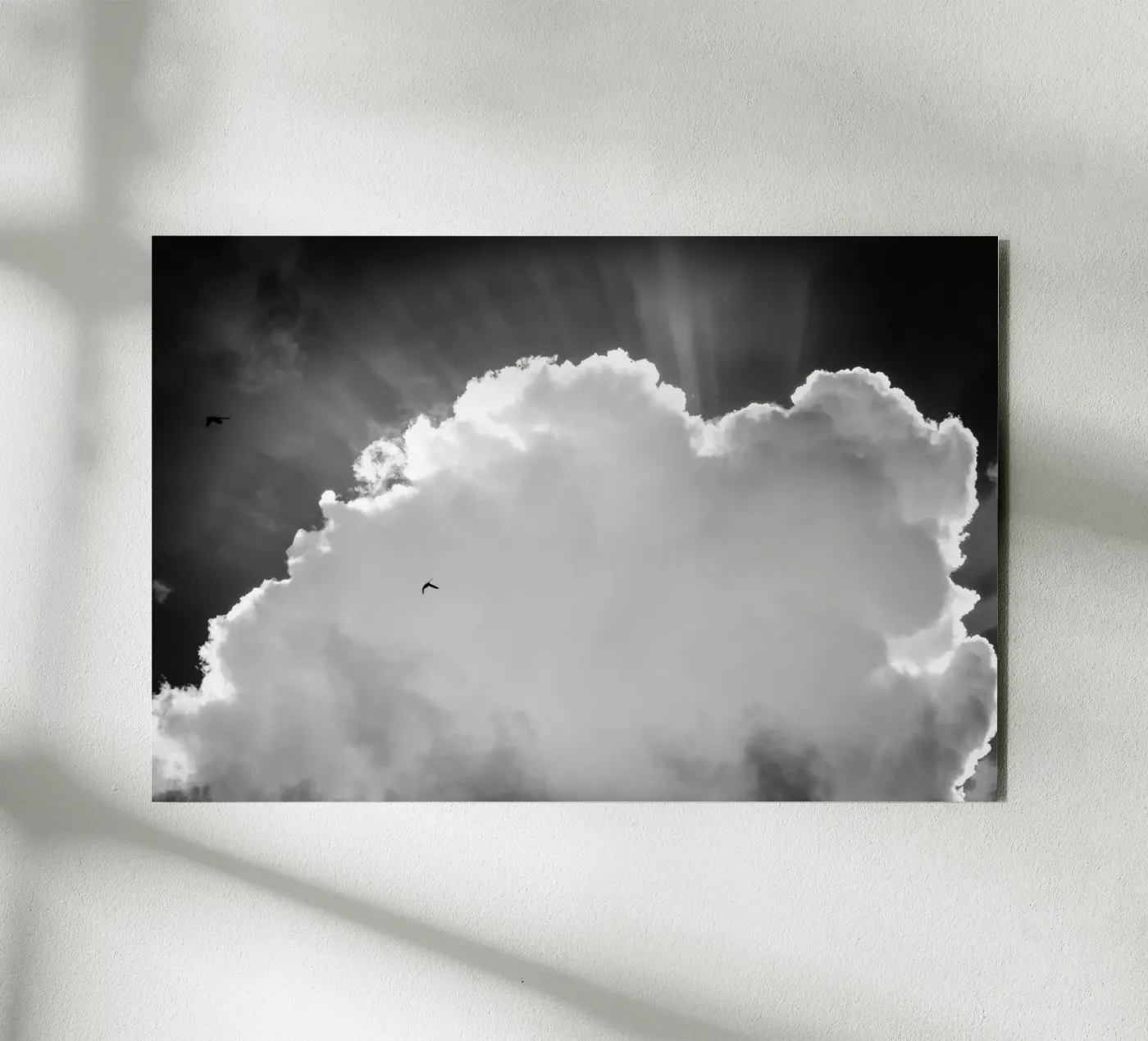 Heavenly alluminio dibond da Tal Paz-Fridman