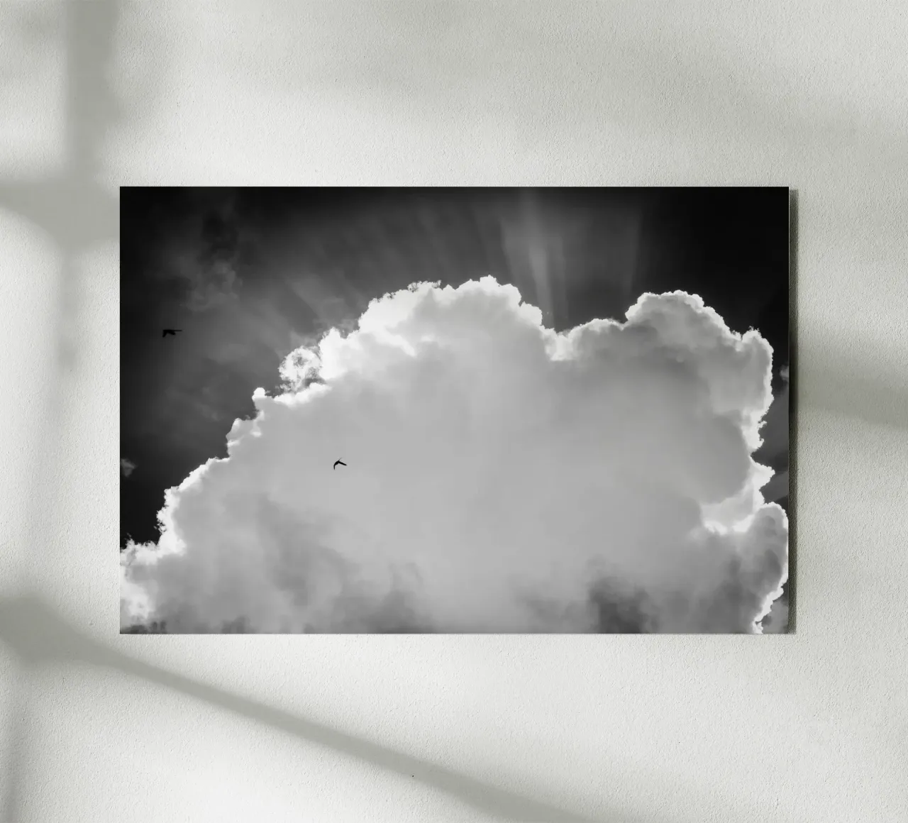 Celeste pannello forex da Tal Paz-Fridman