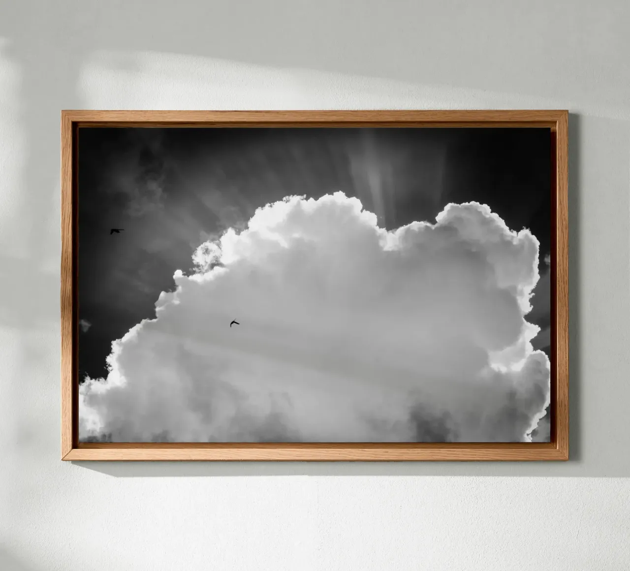 Celeste tela da Tal Paz-Fridman