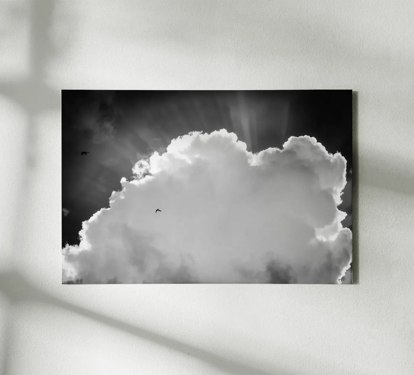Himmlisch Leinwand von Tal Paz-Fridman