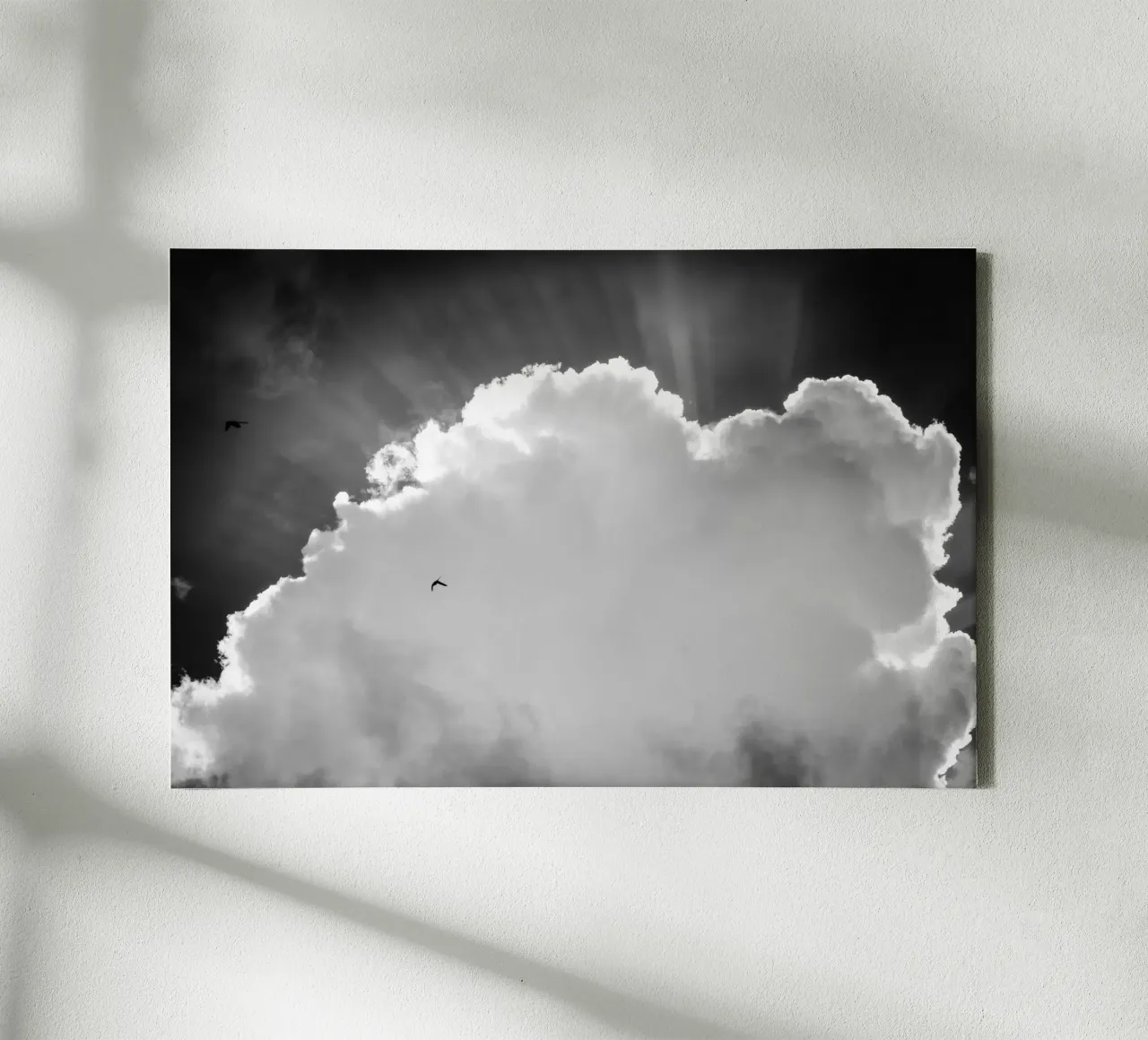 Celeste tela da Tal Paz-Fridman