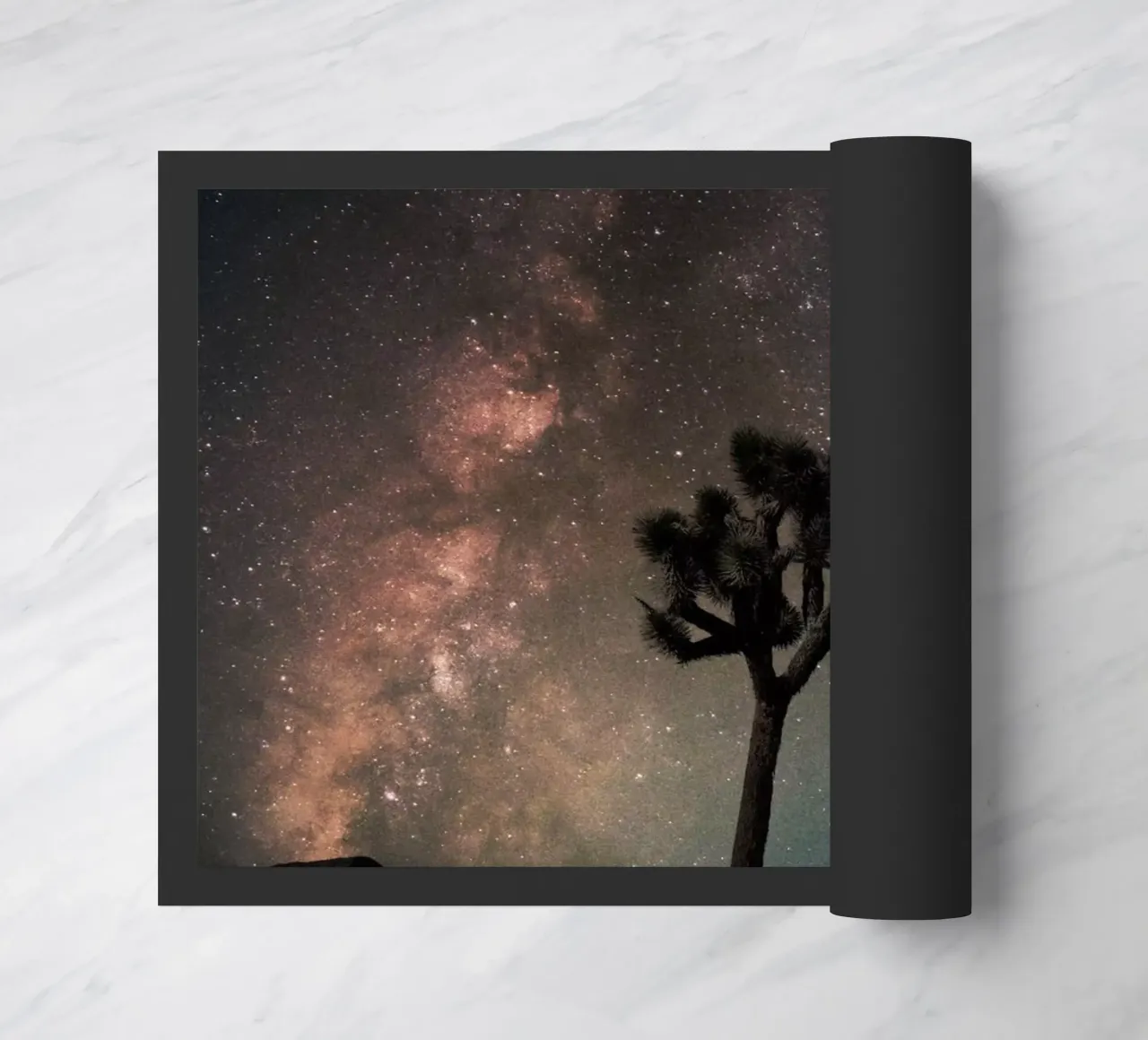 Mania Landscapes Raw 21 Joshua Tree (USA) zerbino da Mania Print Collection
