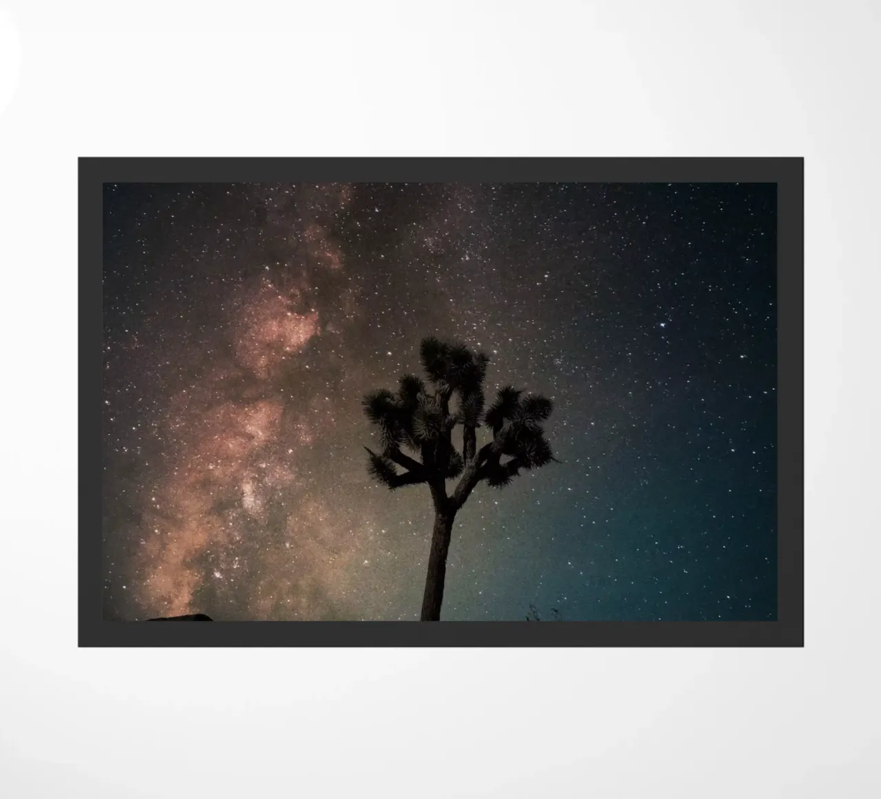 Mania Landscapes Raw 21 Joshua Tree (USA) zerbino da Mania Print Collection