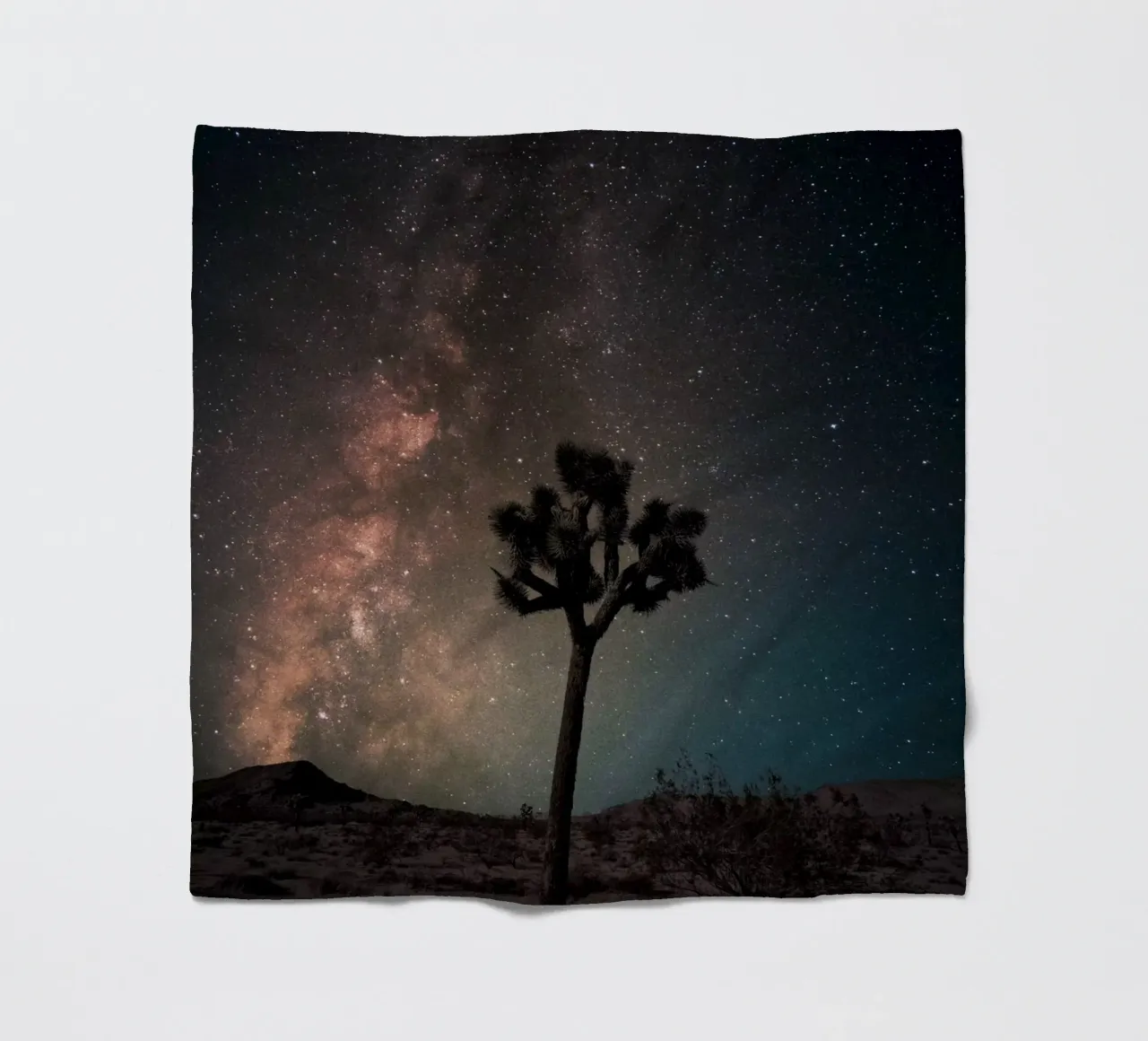 Mania Landscapes Raw 21 Joshua Tree (USA) coperta in pile da Mania Print Collection