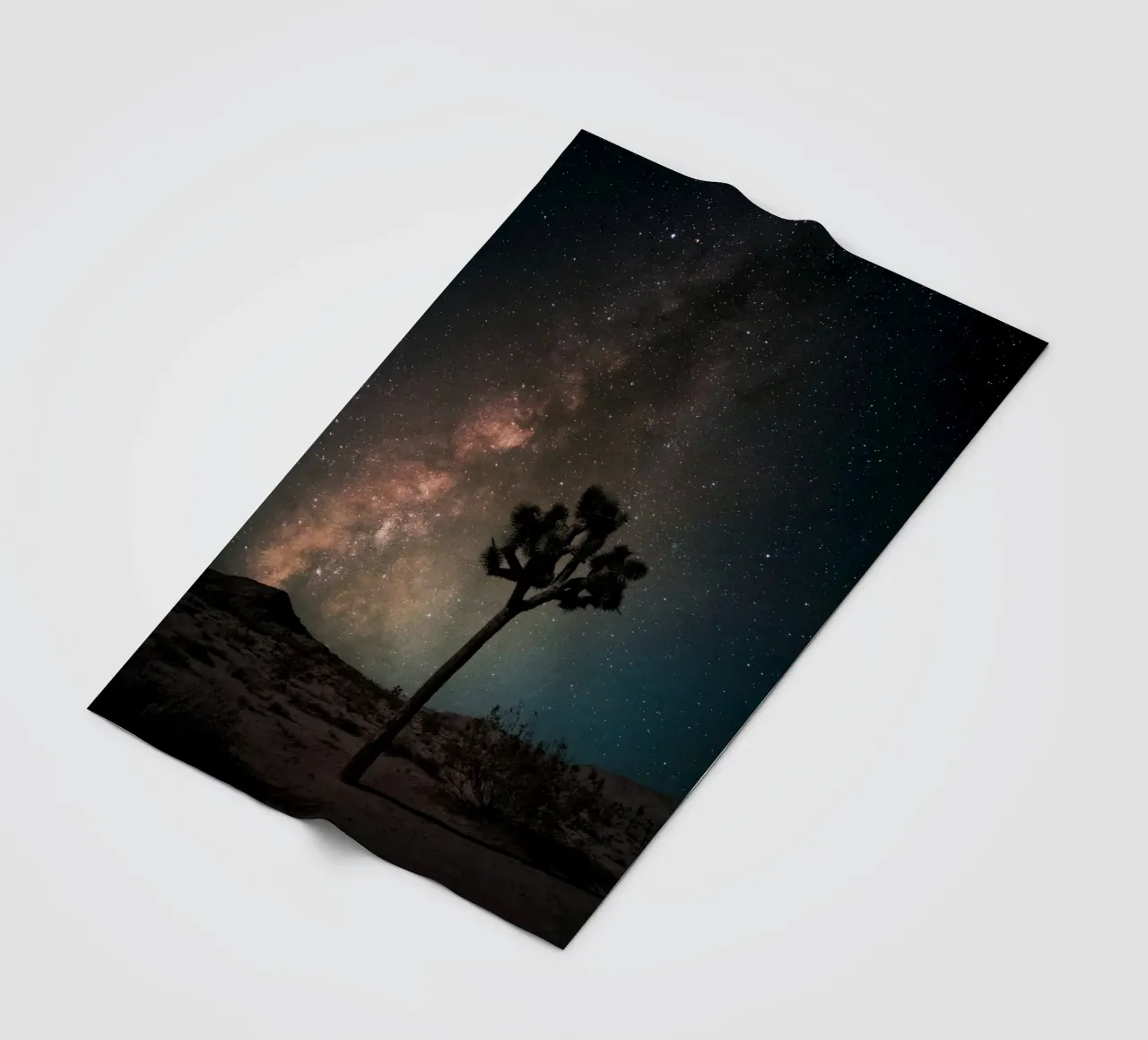 Mania Landscapes Raw 21 Joshua Tree (USA) coperta in pile da Mania Print Collection