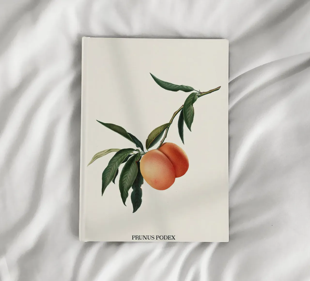 Peachy - Jonas Loose diario da shaw post