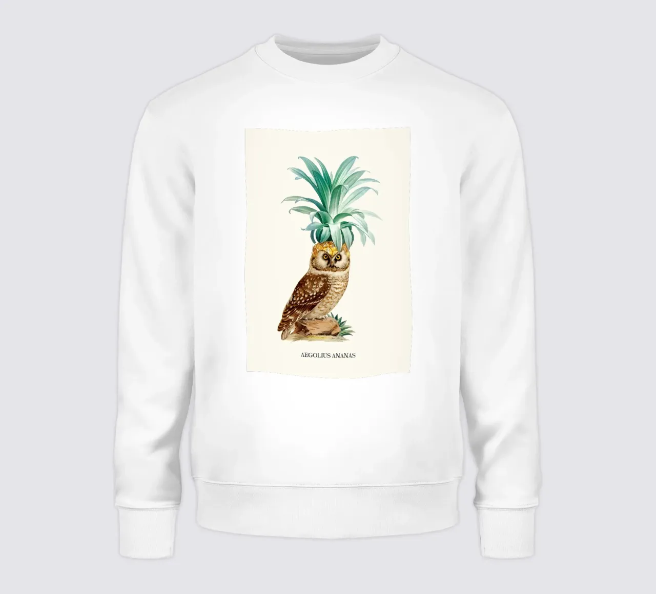 Ananas II - Jonas Loose felpa da shaw post