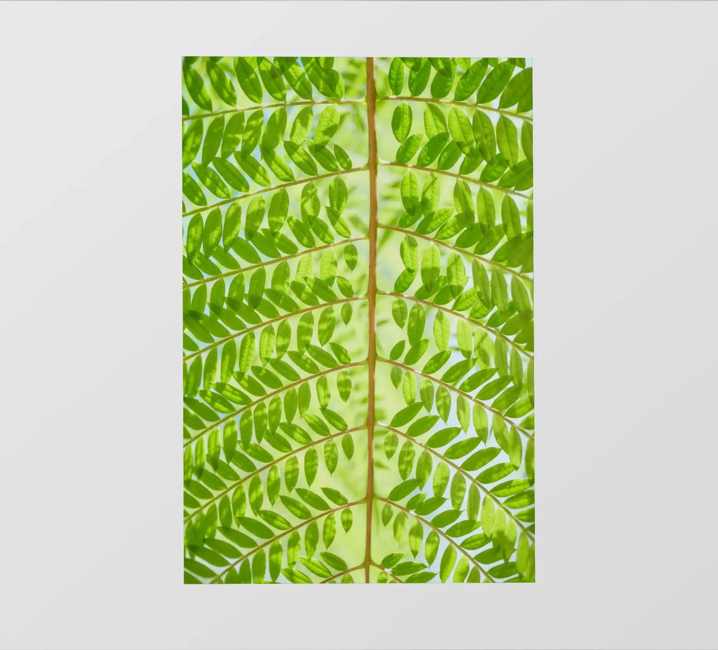 varenblad fotobehang van Earthly Visions