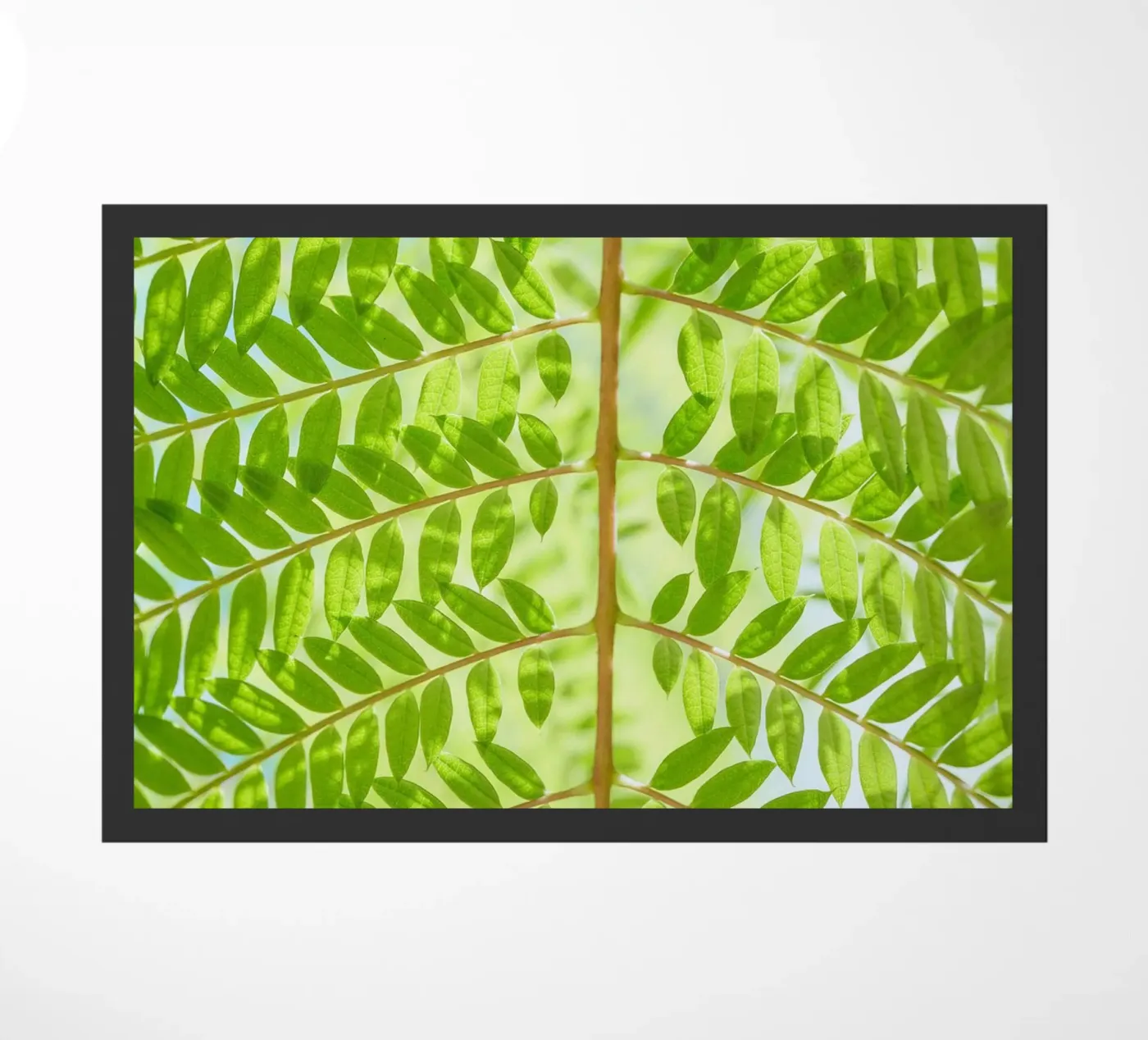 fern leaf Fußmatte von Earthly Visions