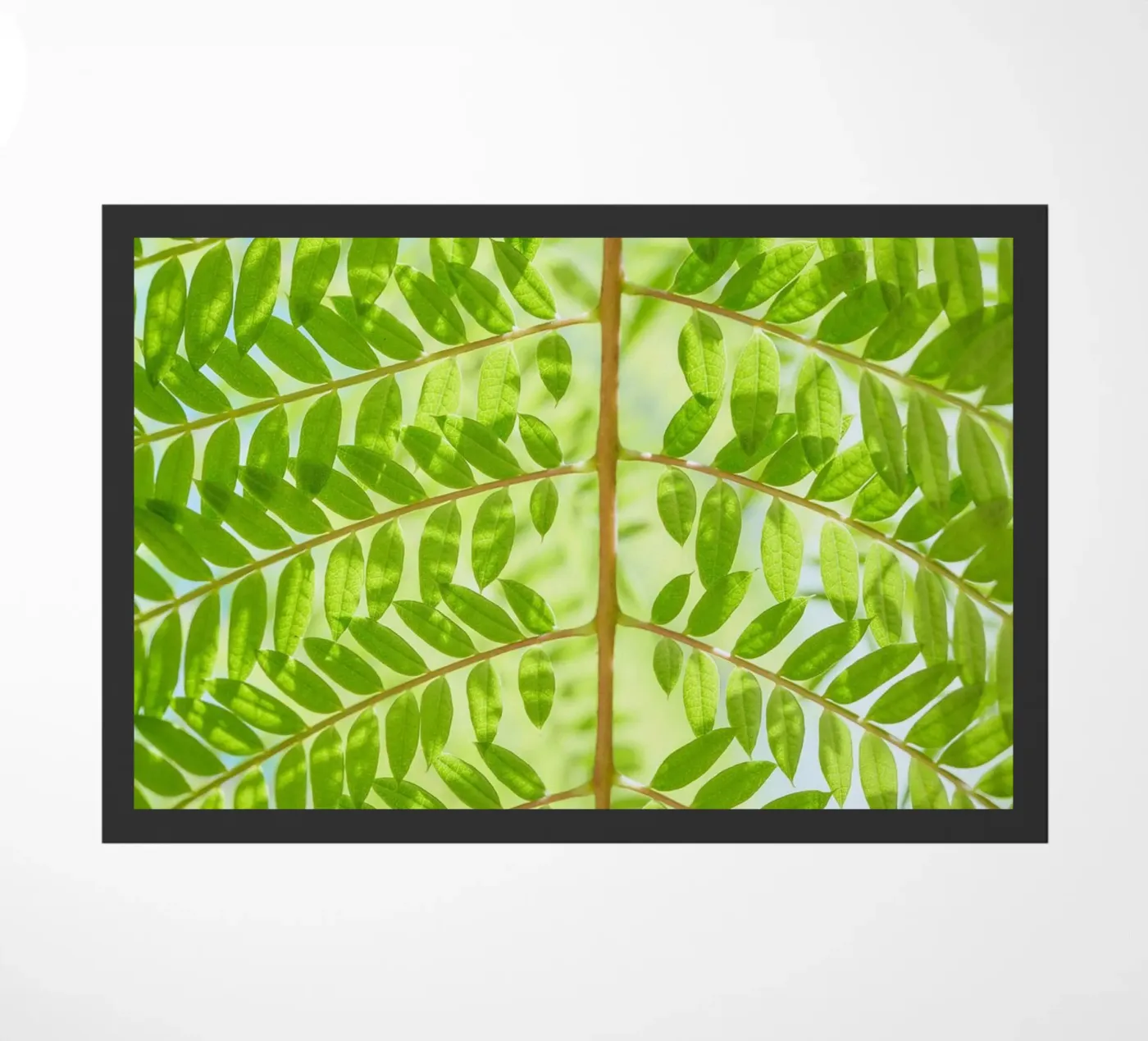 Farnblatt Fußmatte von Earthly Visions