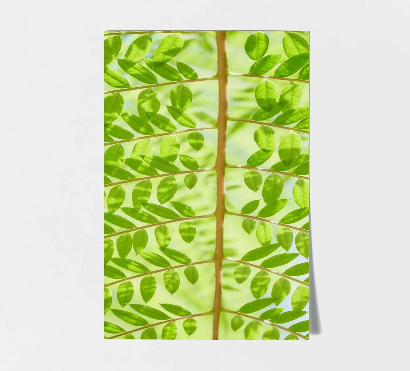 fern leaf sticker sheet by Earthly Visions