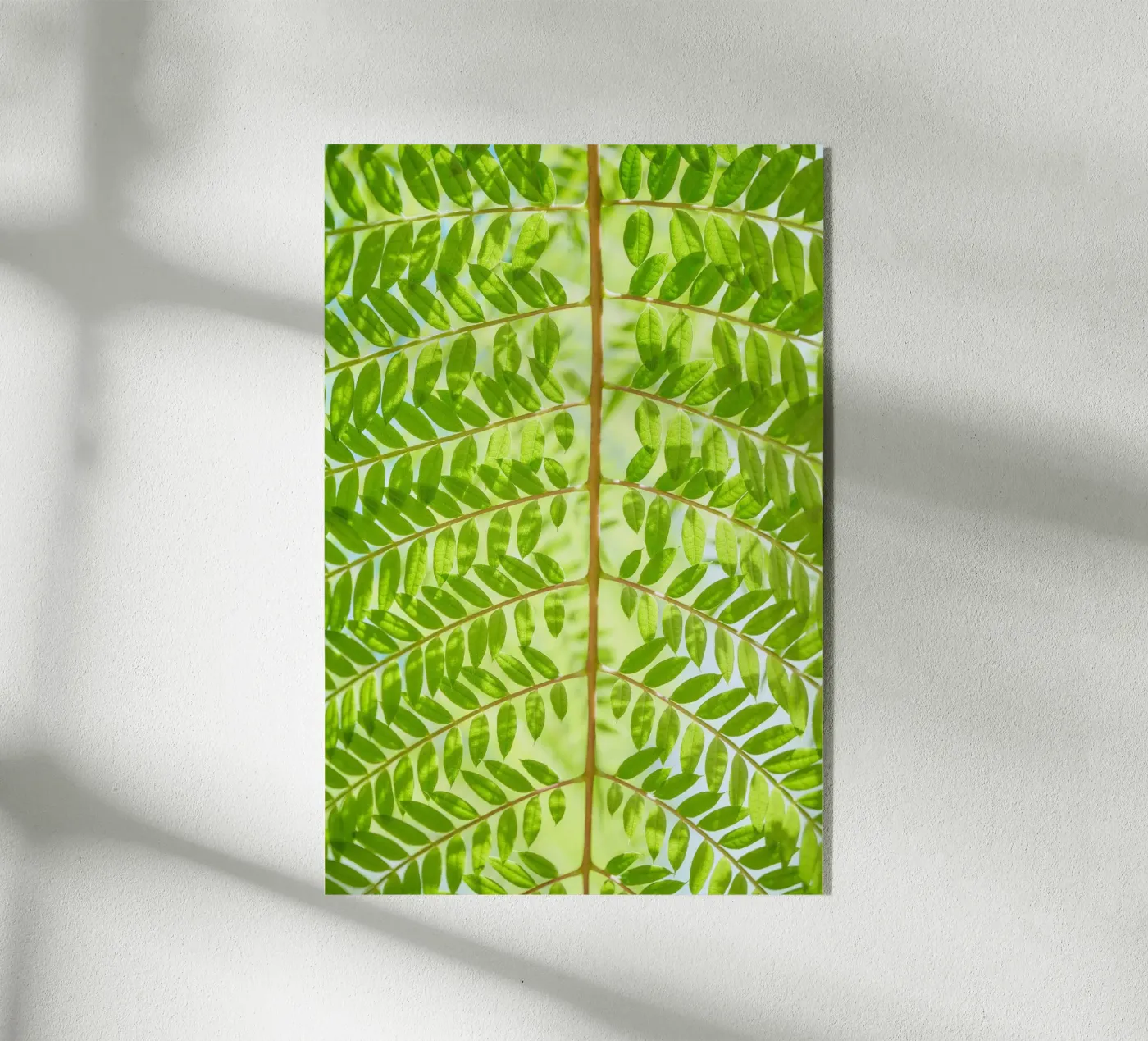 fern leaf Acryl-Glas von Earthly Visions