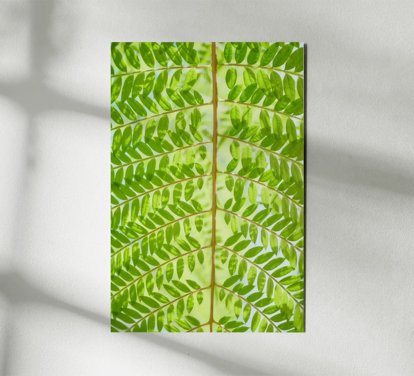 fern leaf forex plate by Earthly Visions