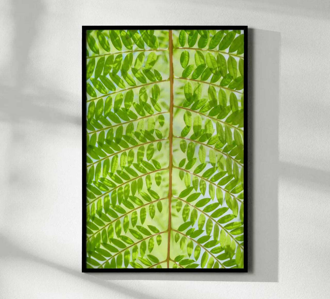 fern leaf poster by Earthly Visions