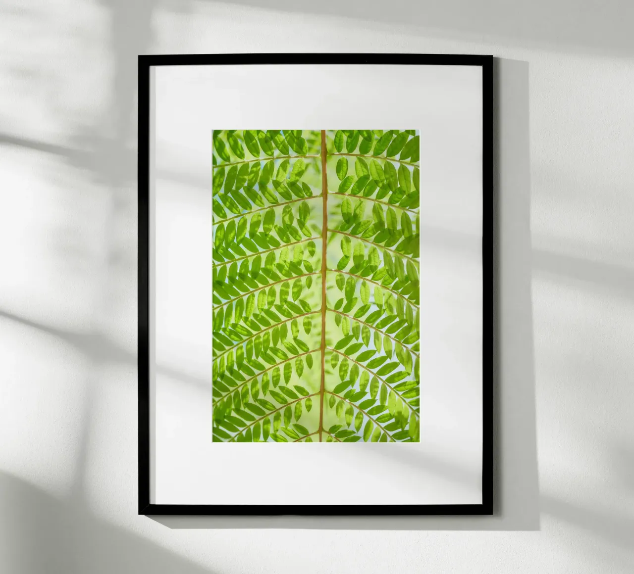 fern leaf poster by Earthly Visions