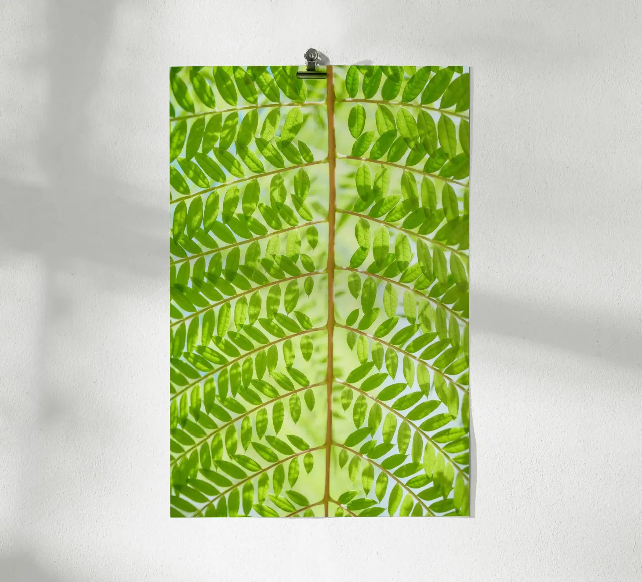 fern leaf poster by Earthly Visions