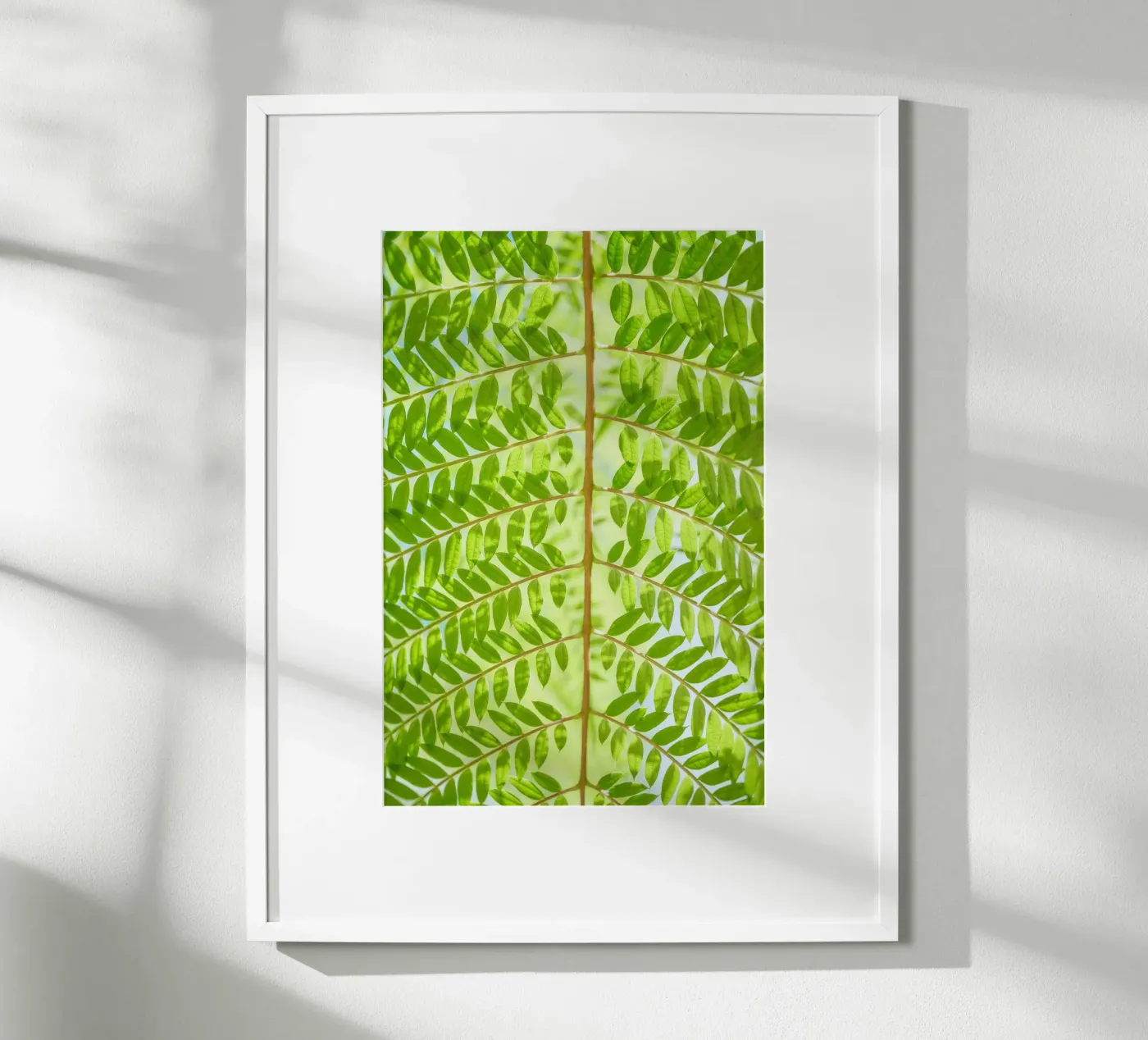 fern leaf poster by Earthly Visions