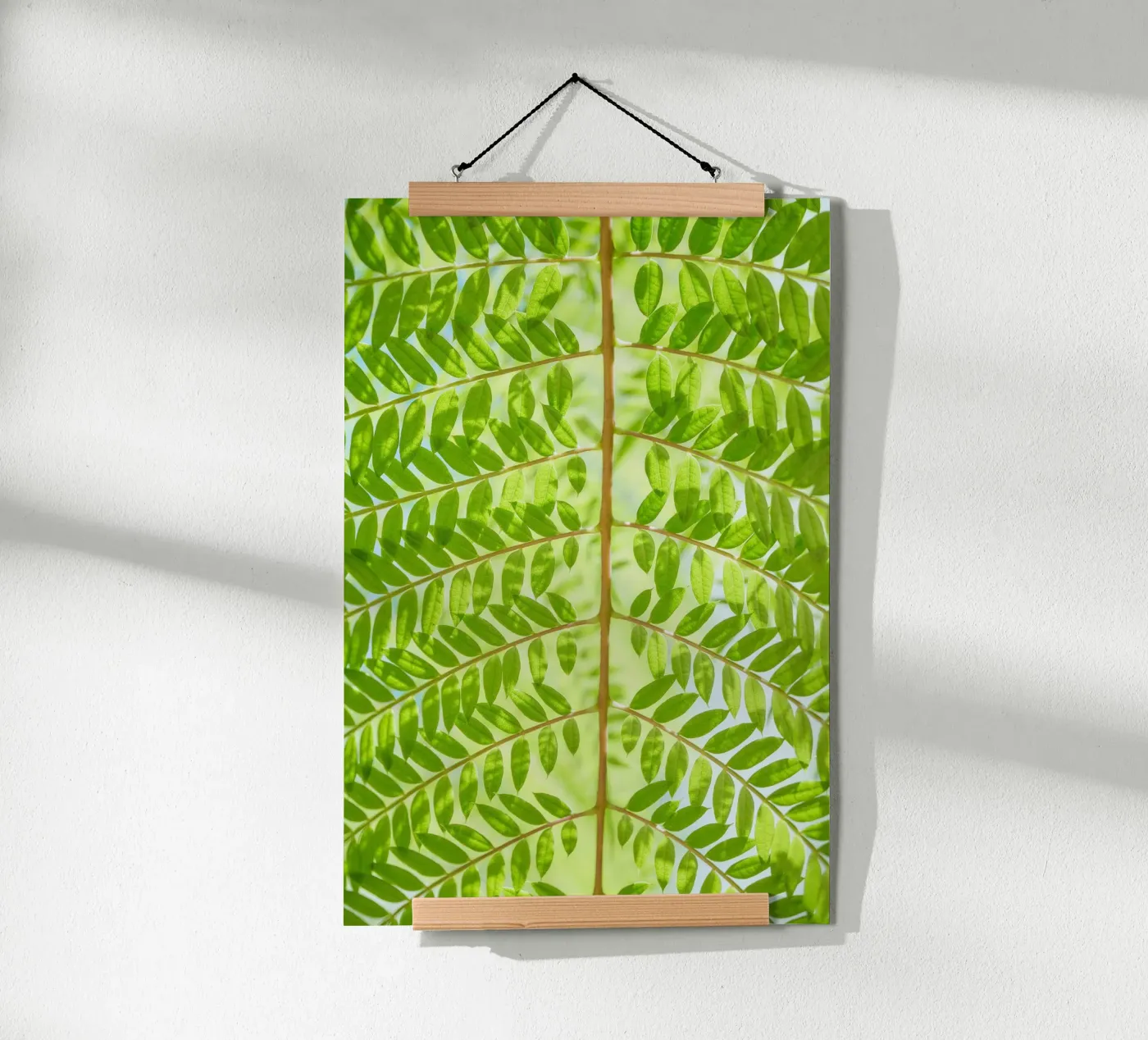 fern leaf poster by Earthly Visions