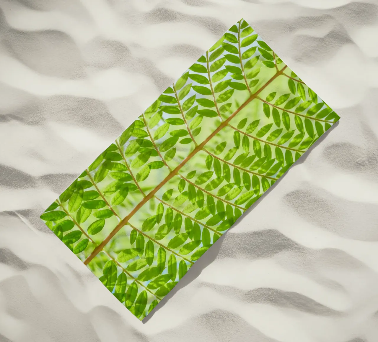 foglia di felce telo mare da Earthly Visions