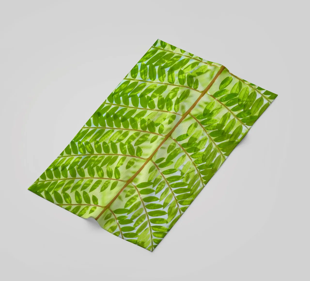 foglia di felce telo mare da Earthly Visions