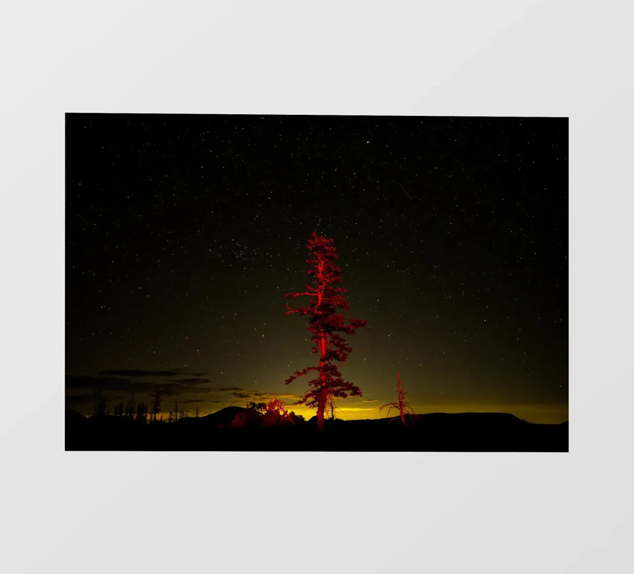 tree night sky backlit film by Earthly Visions