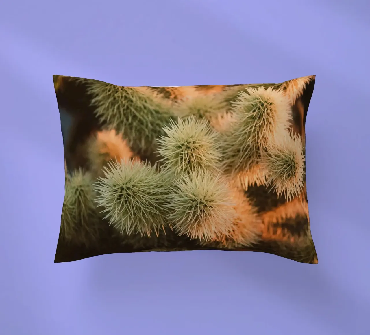 cactus desert decorative cushion by Earthly Visions
