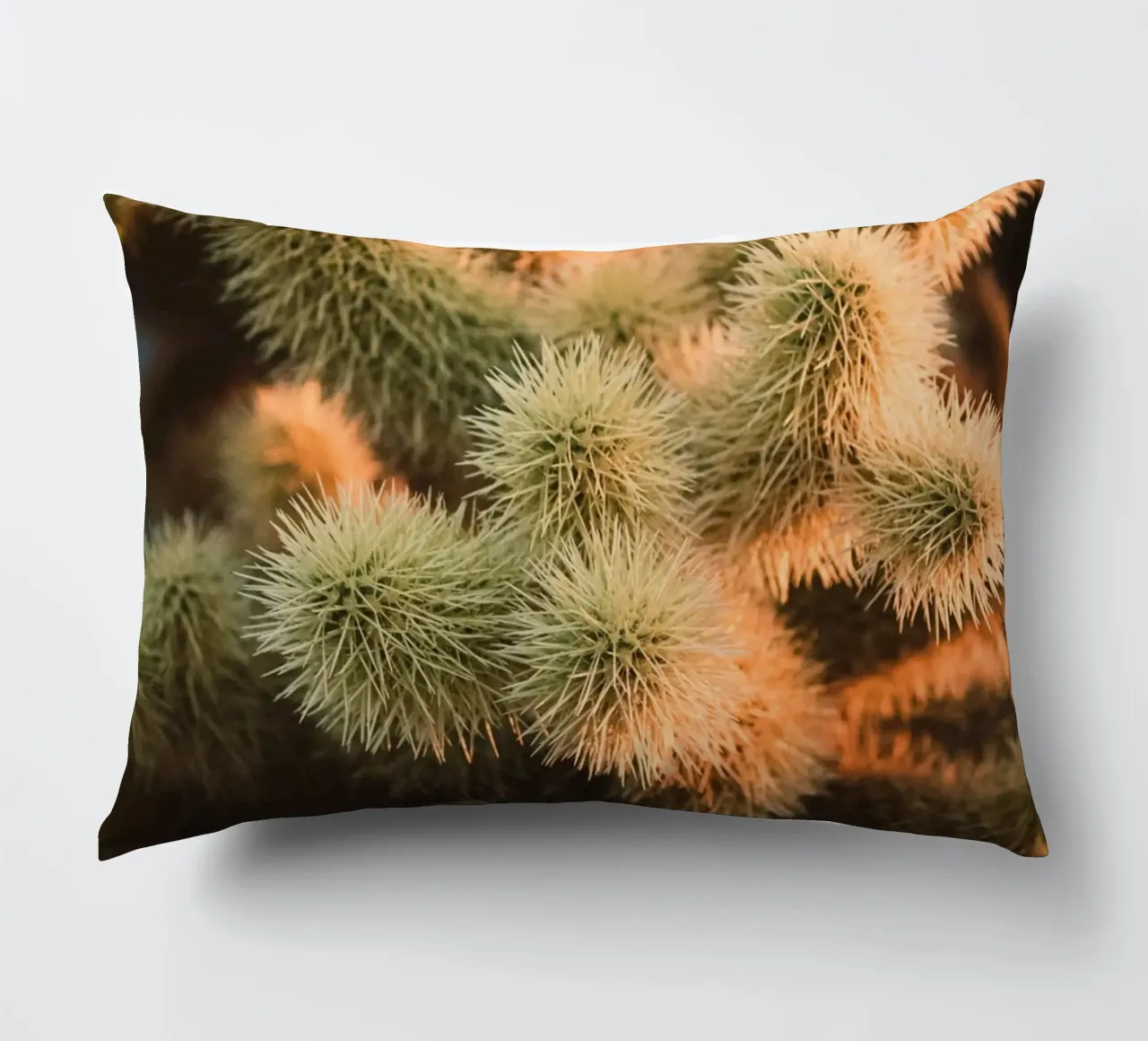 cactus desert decorative cushion by Earthly Visions