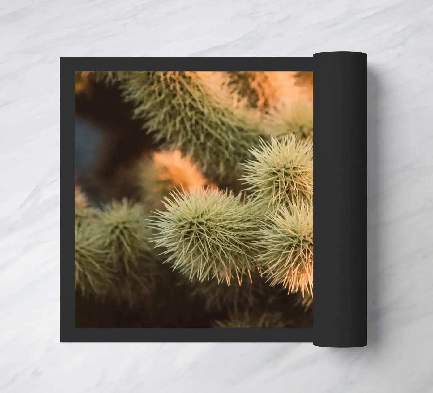 cactus desert doormat by Earthly Visions