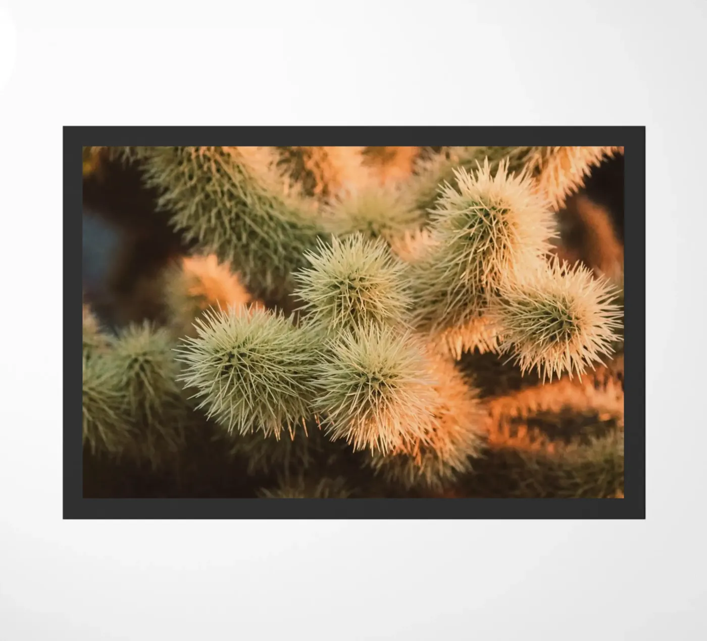 cactus desert doormat by Earthly Visions