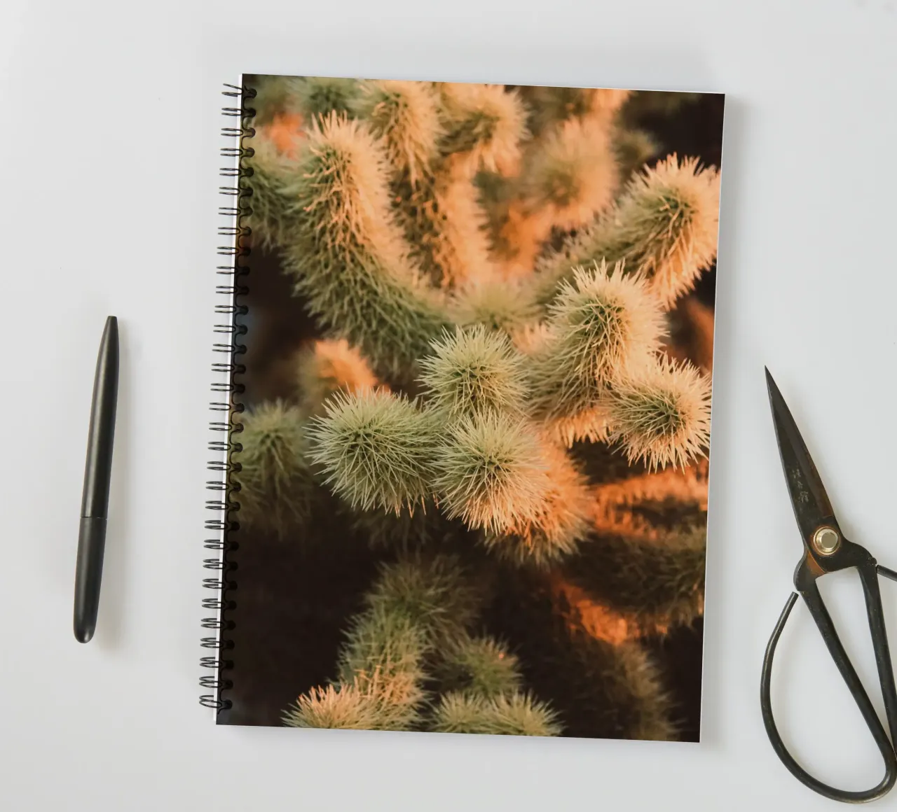 cactus desert spiral notebook by Earthly Visions