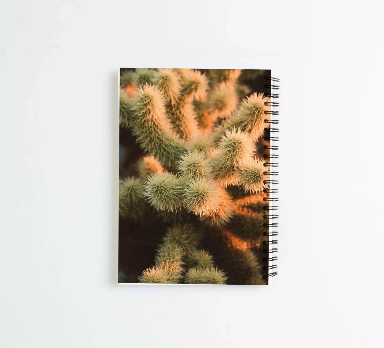 cactus desert spiral notebook by Earthly Visions