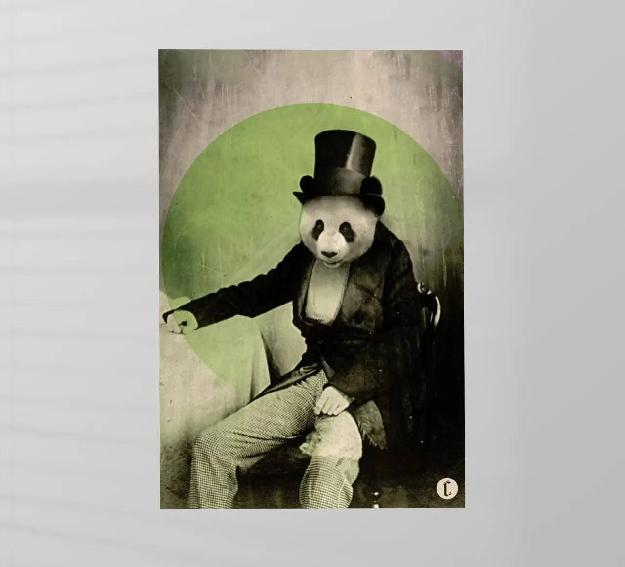 Proper Panda pellicola backlit da Chase Kunz