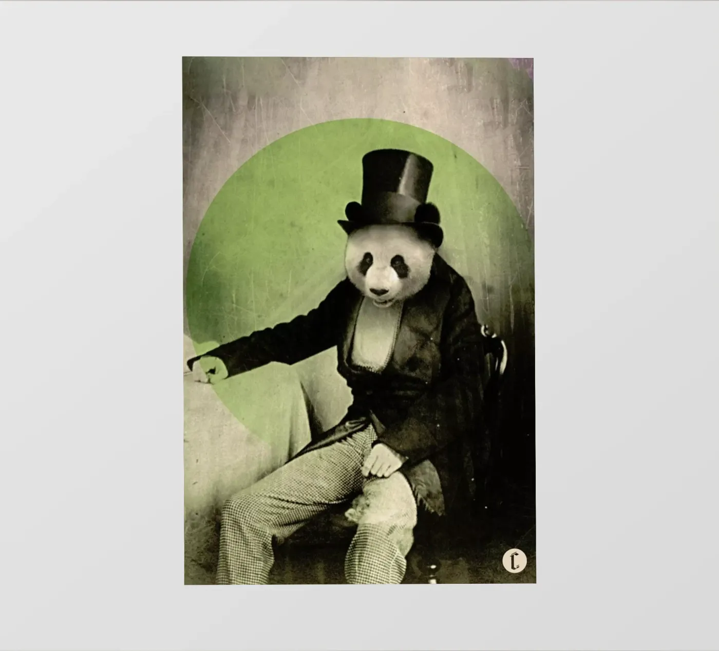 Proper Panda backlit folie van Chase Kunz