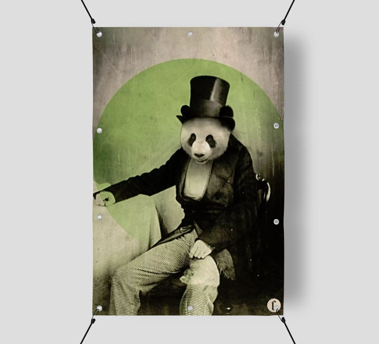 Proper Panda telo in pvc da Chase Kunz