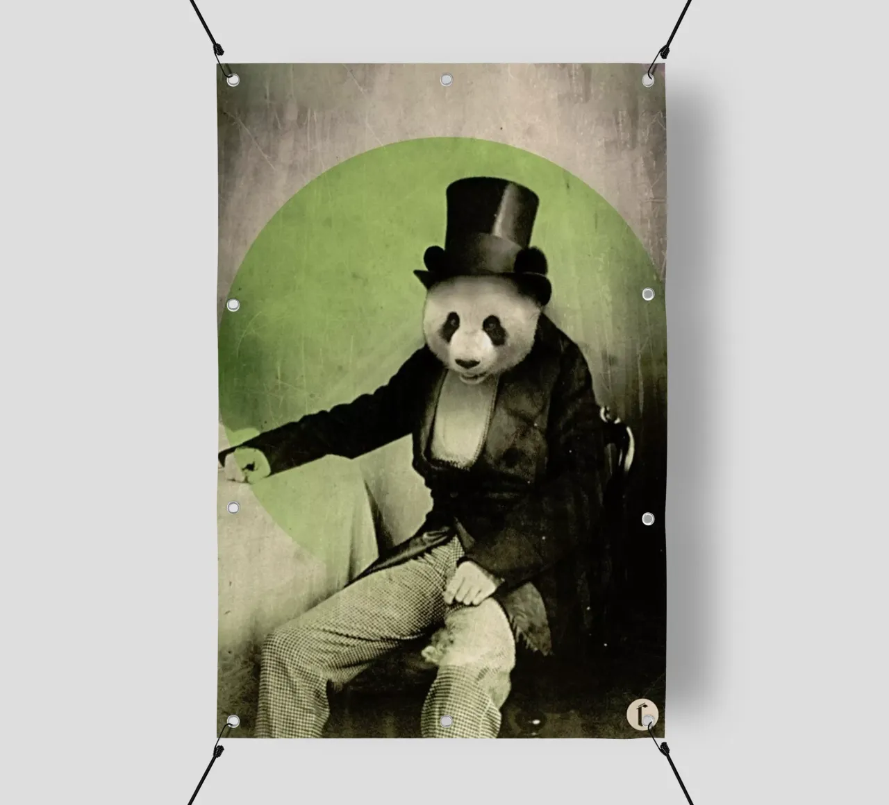 Proper Panda telo in pvc da Chase Kunz