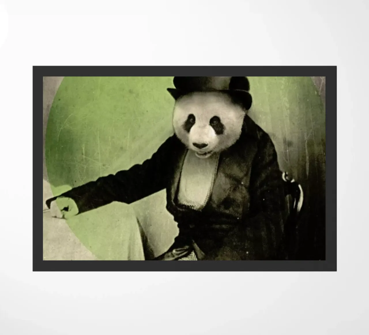 Proper Panda zerbino da Chase Kunz