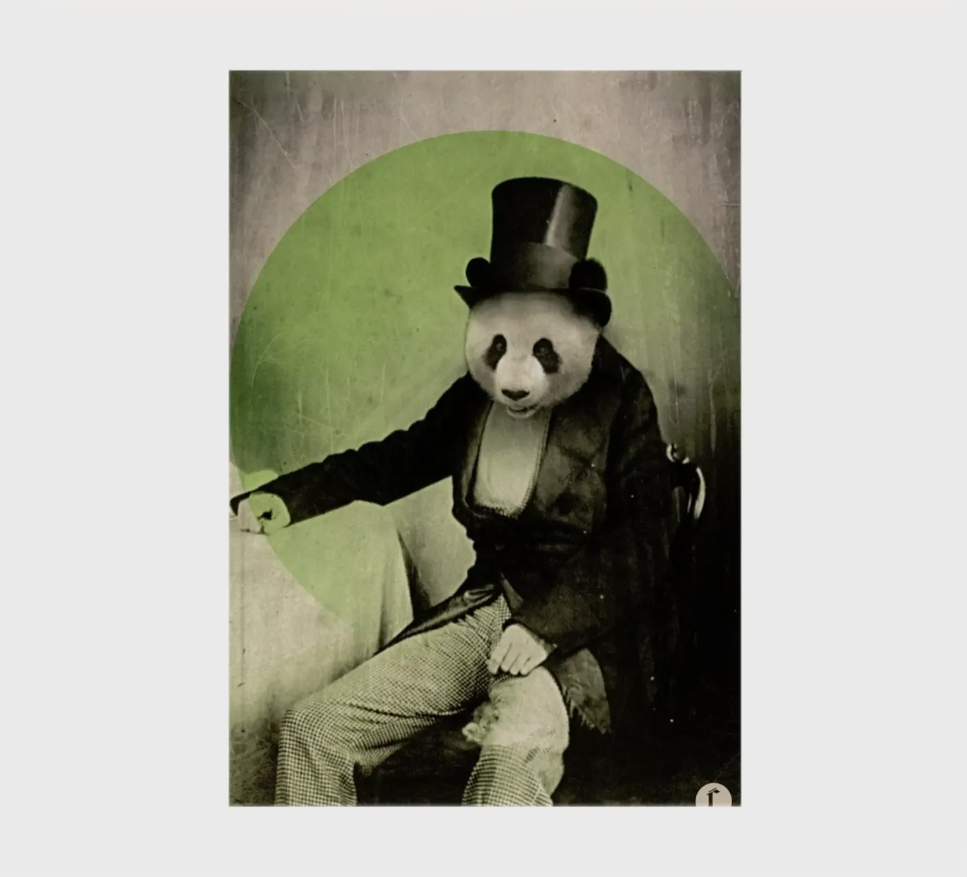 Proper Panda notebook by Chase Kunz