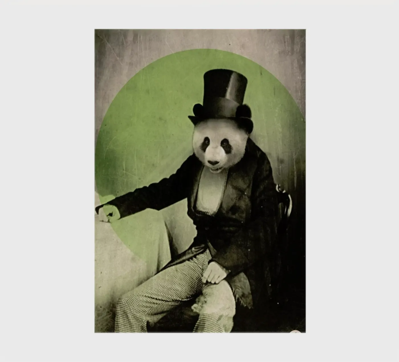 Proper Panda notebook by Chase Kunz