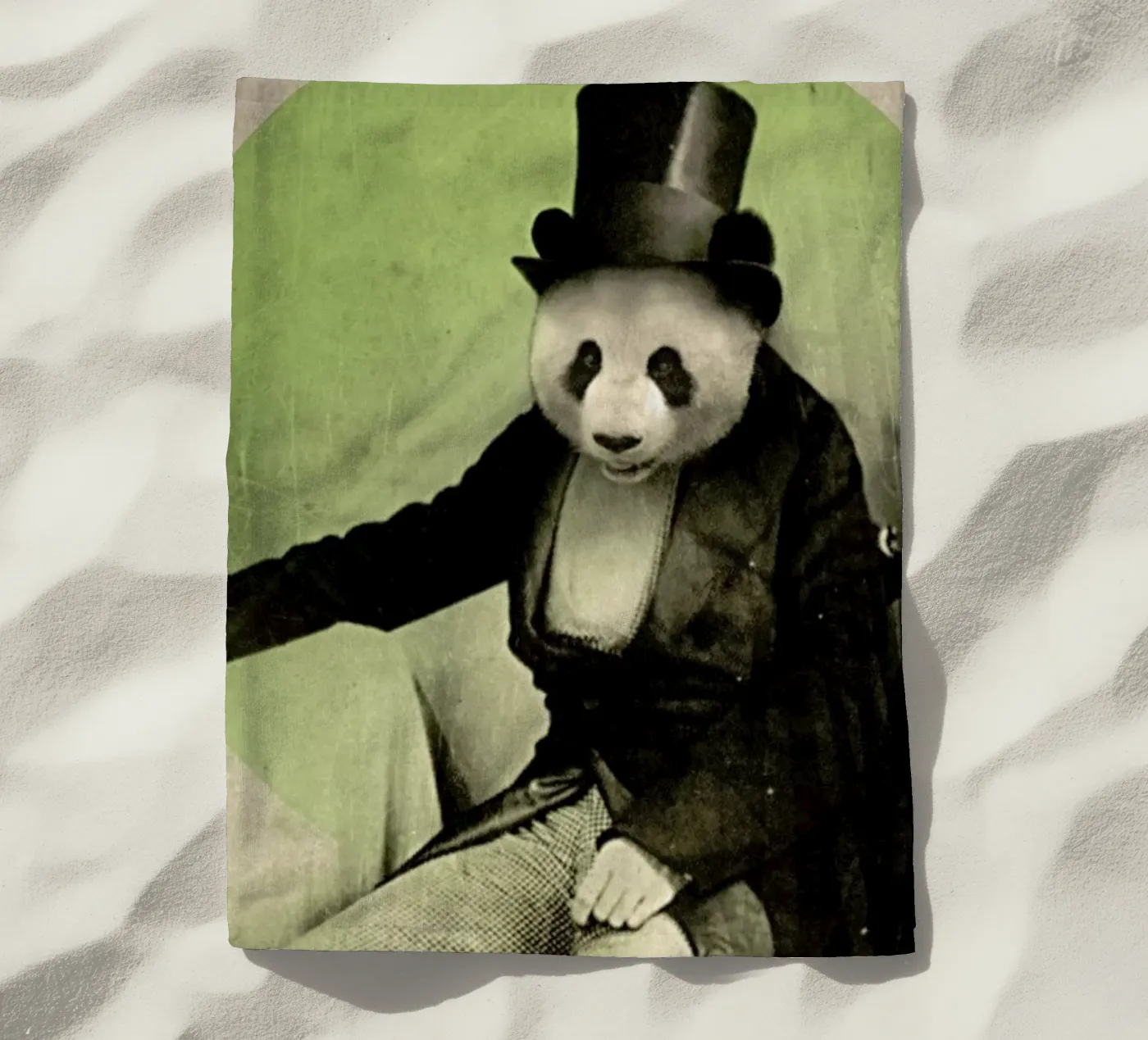 Proper Panda telo mare da Chase Kunz