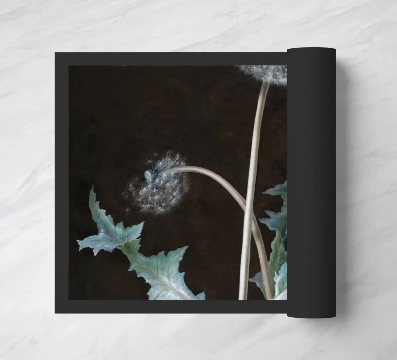Dandelion (1755) zerbino da vintageshop