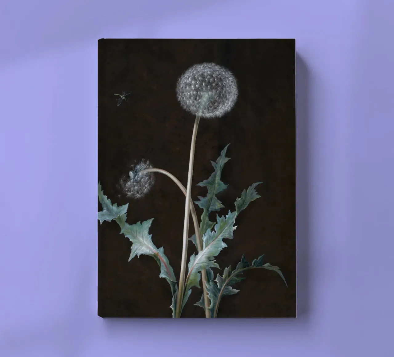 Dandelion (1755) notebook by vintageshop