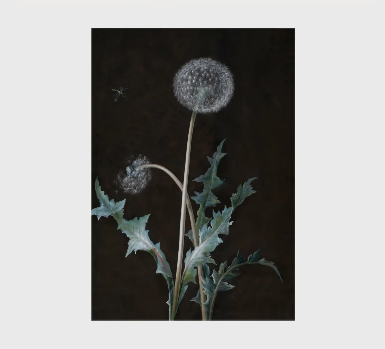 Dandelion (1755) notebook by vintageshop