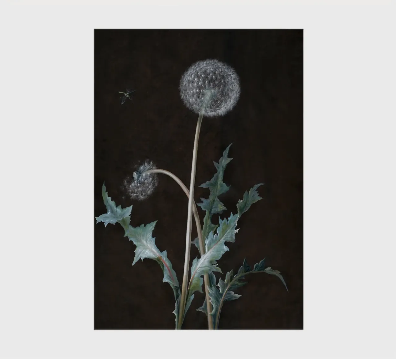 Dandelion (1755) notebook by vintageshop