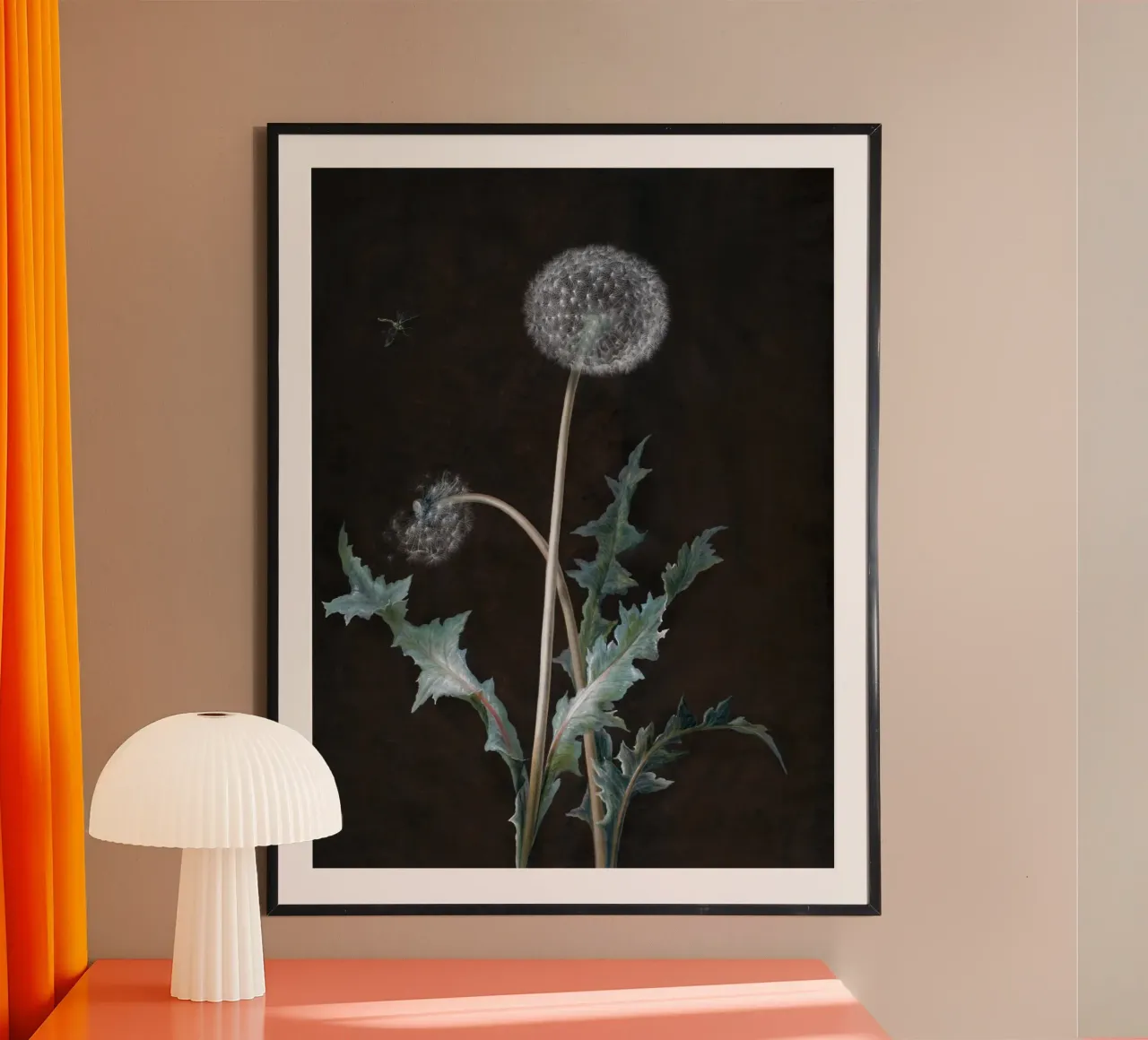 Dandelion (1755) poster da vintageshop