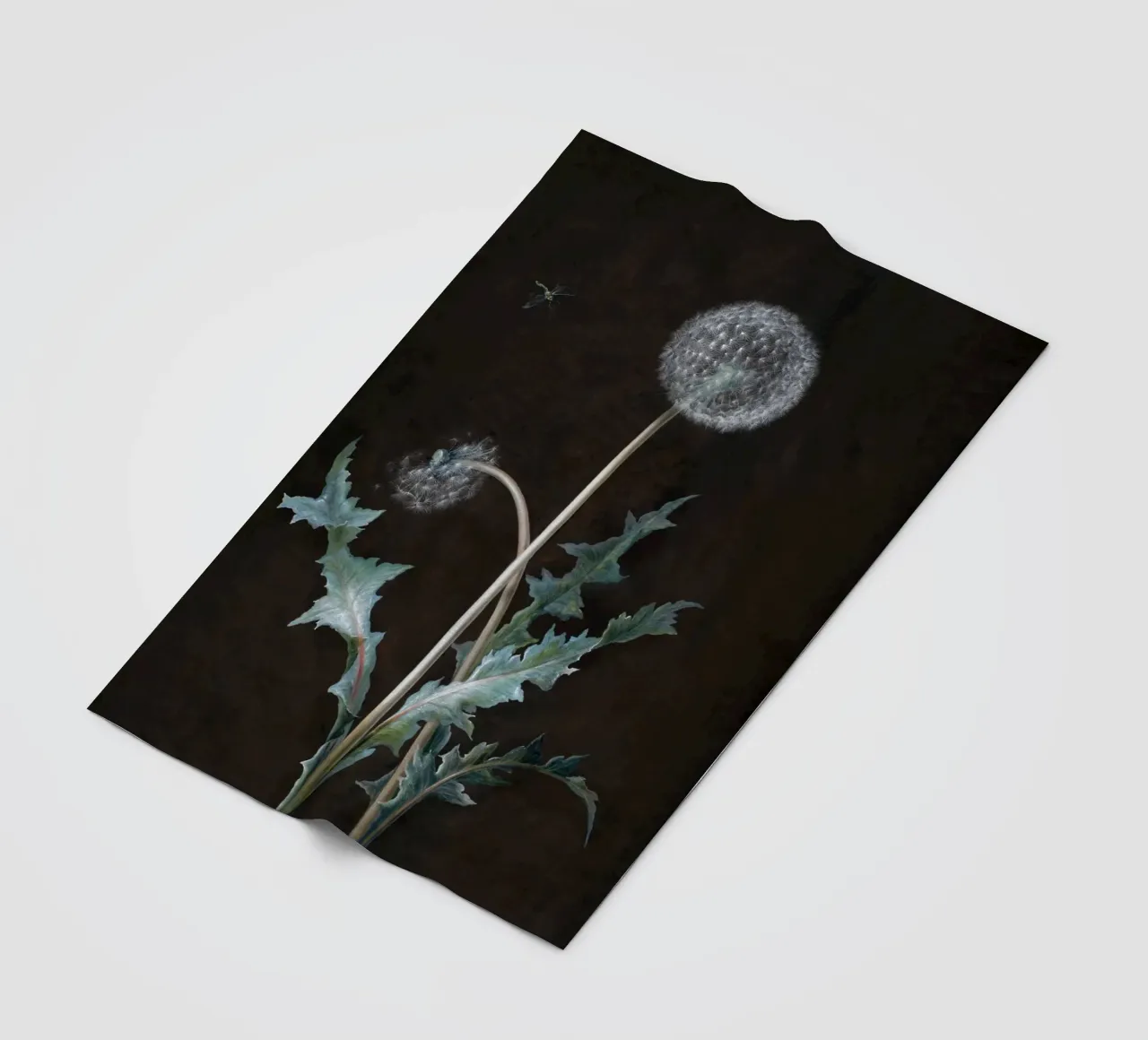 Dandelion (1755) coperta in pile da vintageshop