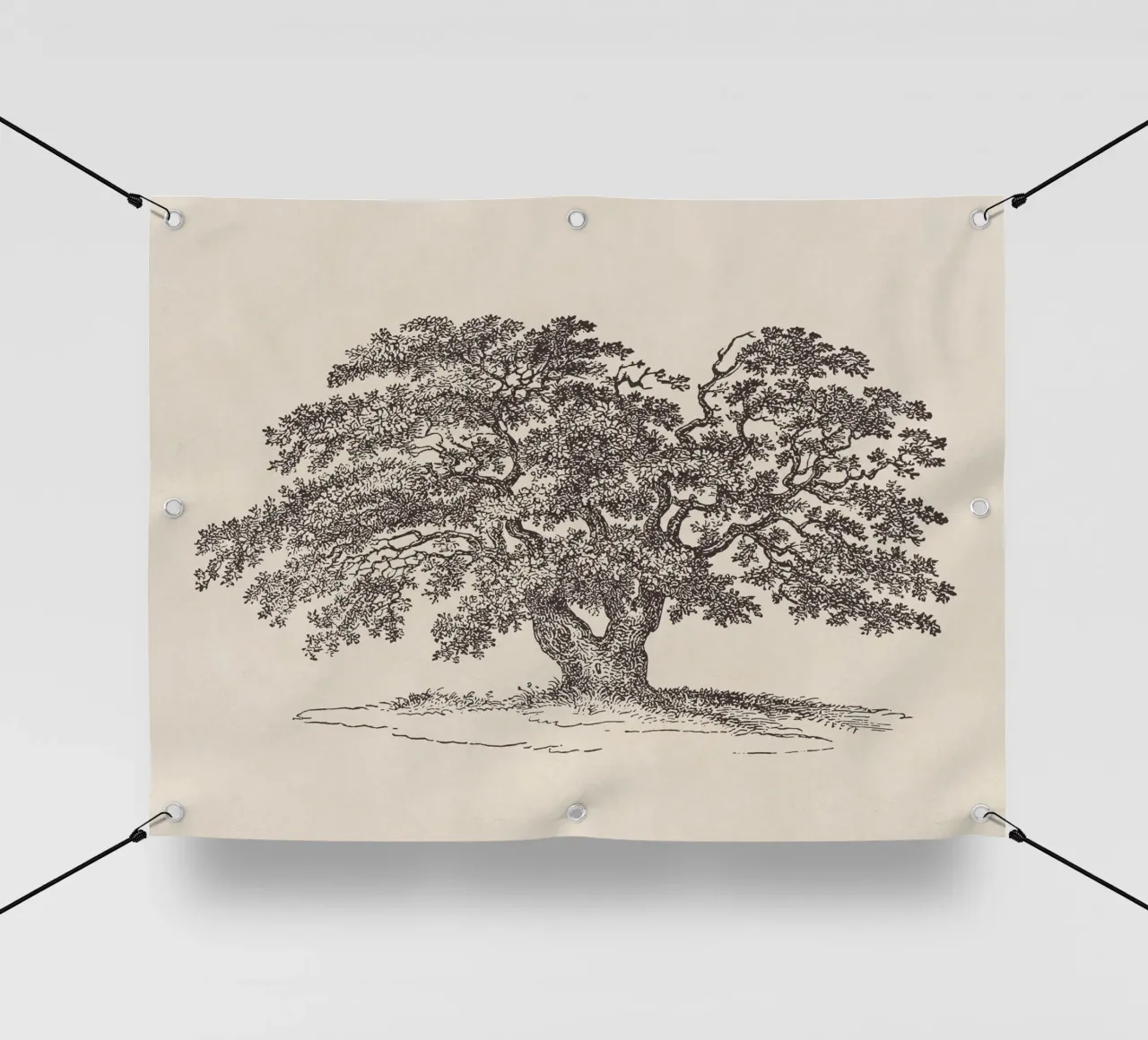 Oak Tree Sketch no. 1 telo in pvc da apoloprints